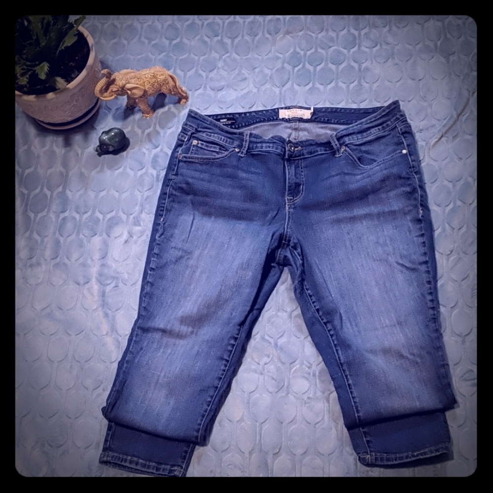 Torrid Skinny Denim Jeans